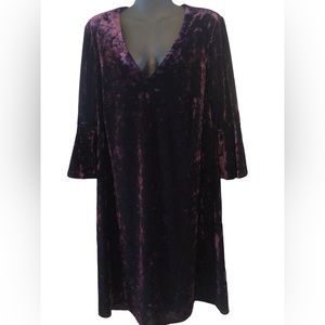 Gorgeous velour dress - worn once
